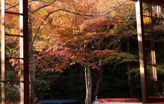 Autumn in restaurants